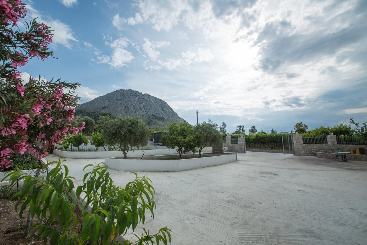 Acrocorinth Apartments Exteriér fotografie
